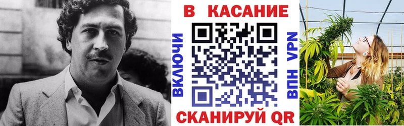 МЕФ Миасс