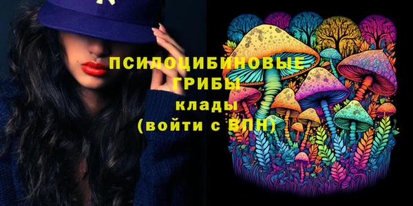 спиды Алзамай