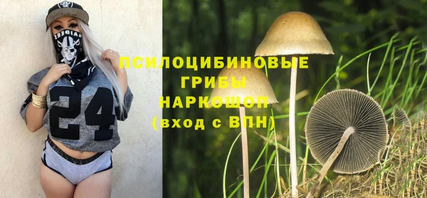 гидропоника Алексеевка