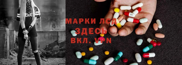 спиды Алзамай
