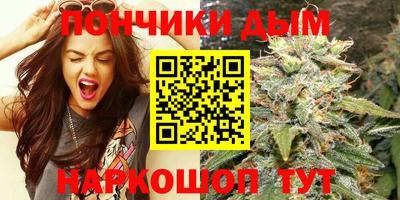 шишки Кимры