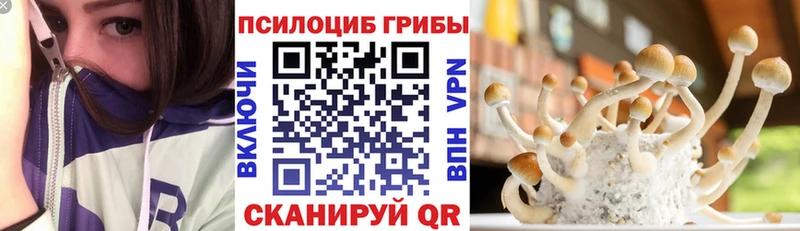 как найти   Миасс  Псилоцибиновые грибы Psilocybine cubensis 
