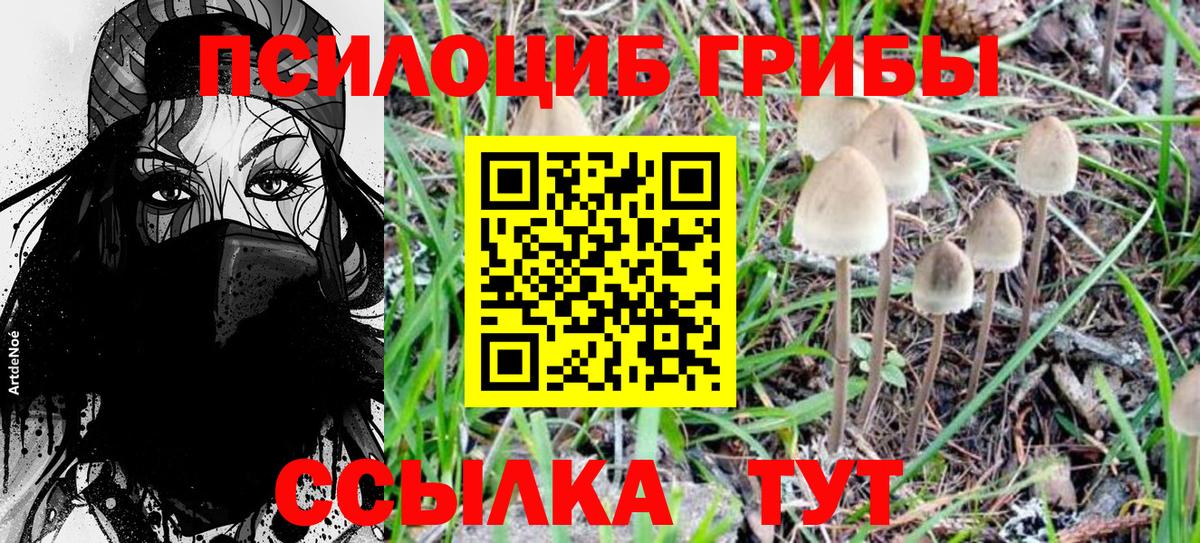 Галлюциногенные грибы Psilocybine cubensis  Вход с VPN  Миасс  Галлюциногенные грибы Cubensis 